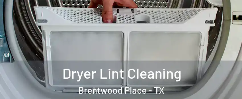 Dryer Lint Cleaning Brentwood Place - TX