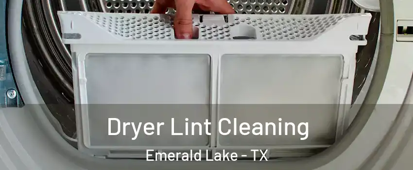 Dryer Lint Cleaning Emerald Lake - TX