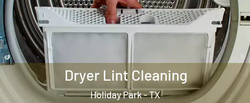 Dryer Lint Cleaning Holiday Park - TX