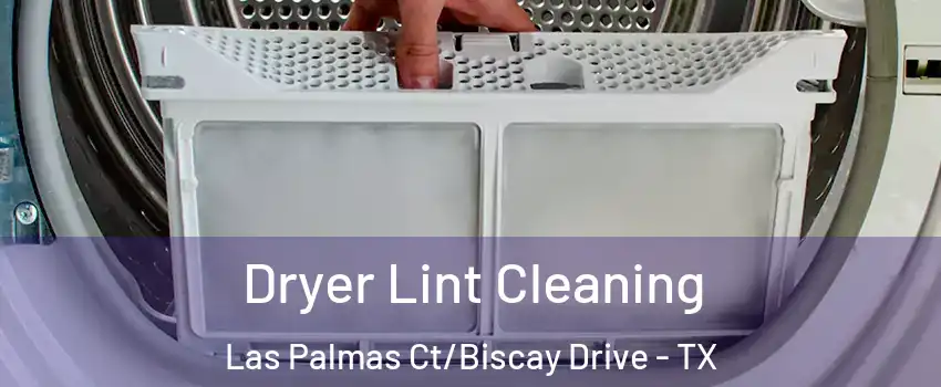 Dryer Lint Cleaning Las Palmas Ct/Biscay Drive - TX