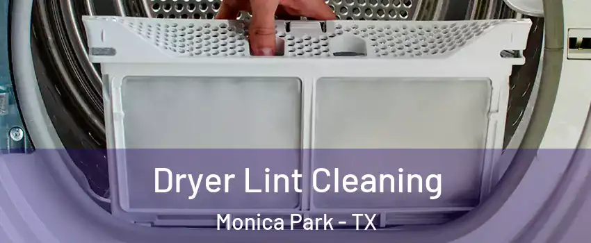 Dryer Lint Cleaning Monica Park - TX