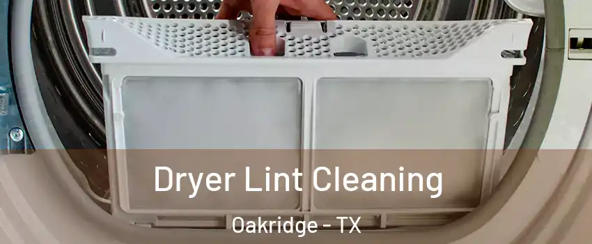 Dryer Lint Cleaning Oakridge - TX
