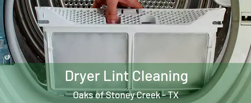 Dryer Lint Cleaning Oaks of Stoney Creek - TX
