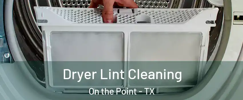 Dryer Lint Cleaning On the Point - TX