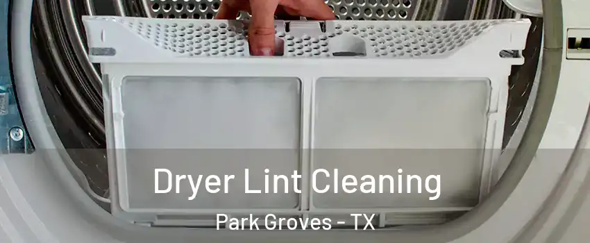 Dryer Lint Cleaning Park Groves - TX