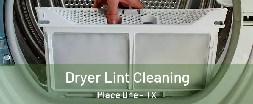 Dryer Lint Cleaning Place One - TX