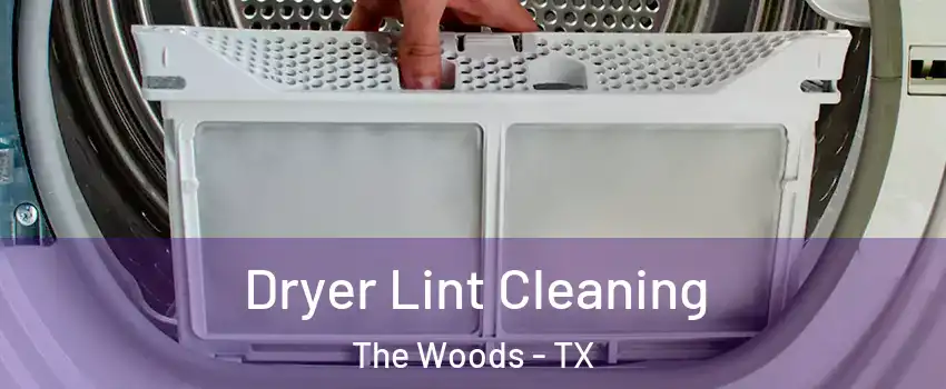 Dryer Lint Cleaning The Woods - TX