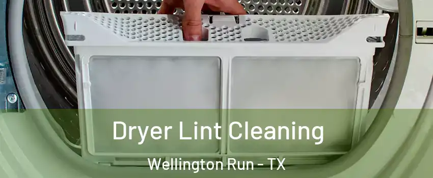 Dryer Lint Cleaning Wellington Run - TX