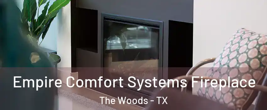 Empire Comfort Systems Fireplace The Woods - TX