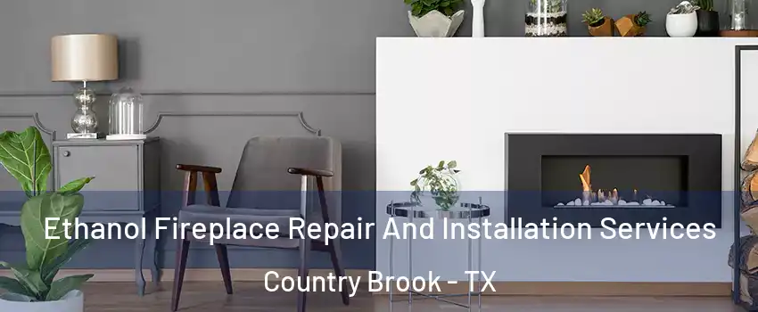 Ethanol Fireplace Repair And Installation Services Country Brook - TX