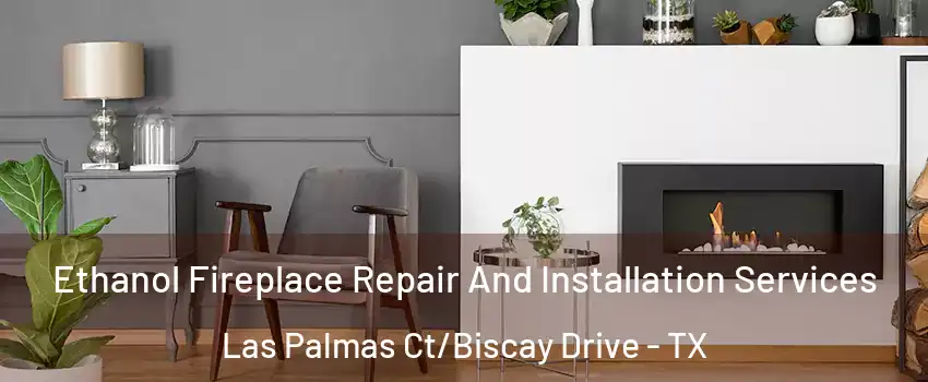 Ethanol Fireplace Repair And Installation Services Las Palmas Ct/Biscay Drive - TX