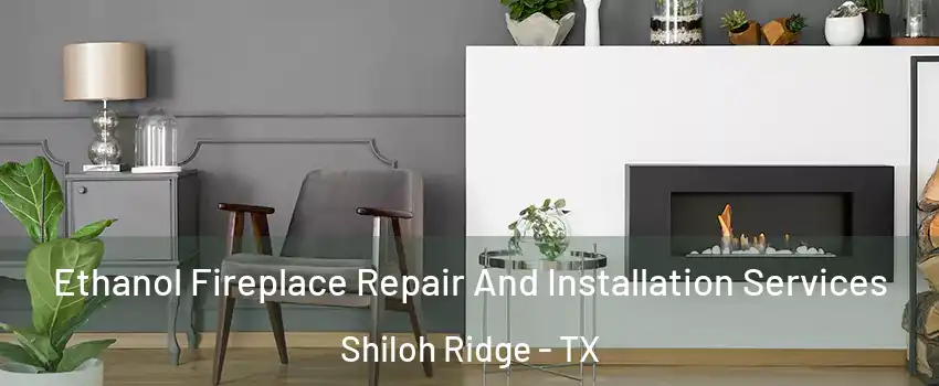 Ethanol Fireplace Repair And Installation Services Shiloh Ridge - TX