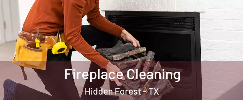 Fireplace Cleaning Hidden Forest - TX