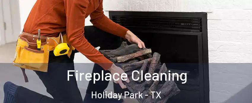 Fireplace Cleaning Holiday Park - TX