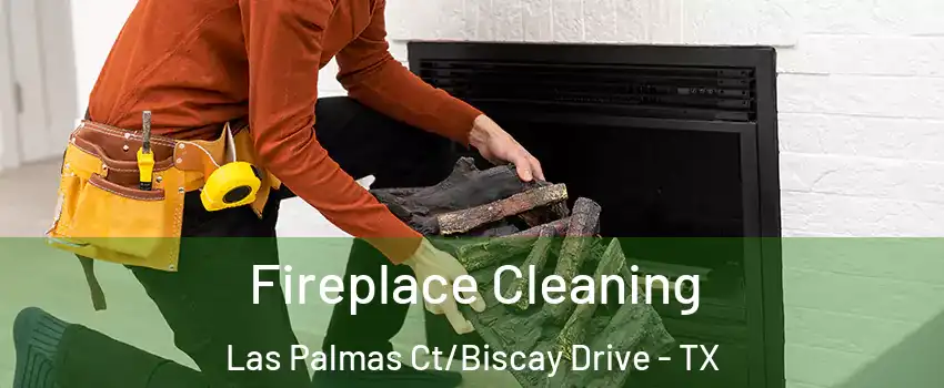 Fireplace Cleaning Las Palmas Ct/Biscay Drive - TX
