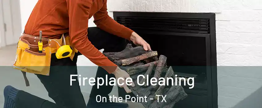 Fireplace Cleaning On the Point - TX