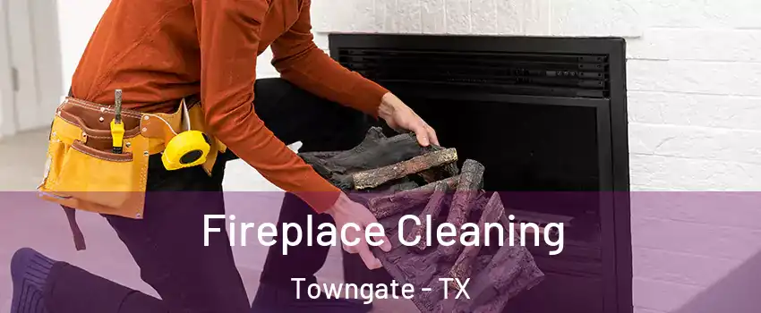 Fireplace Cleaning Towngate - TX