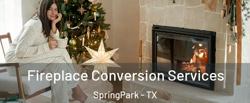 Fireplace Conversion Services SpringPark - TX
