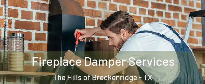Fireplace Damper Services The Hills of Breckenridge - TX