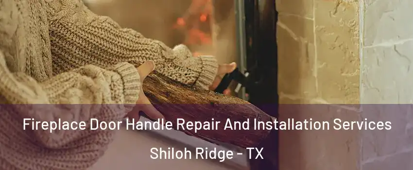 Fireplace Door Handle Repair And Installation Services Shiloh Ridge - TX