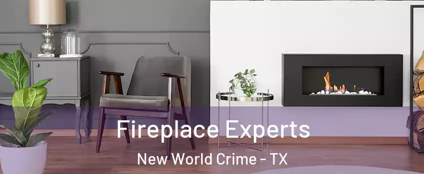 Fireplace Experts New World Crime - TX