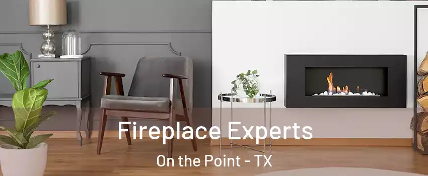 Fireplace Experts On the Point - TX