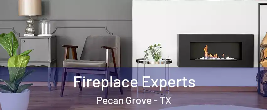 Fireplace Experts Pecan Grove - TX