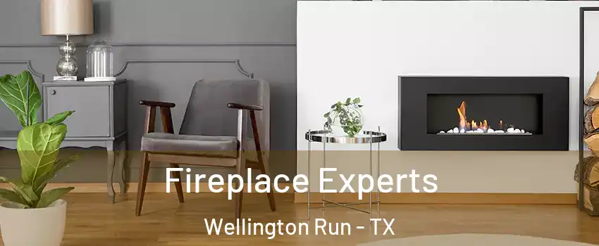 Fireplace Experts Wellington Run - TX