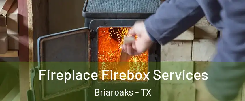 Fireplace Firebox Services Briaroaks - TX