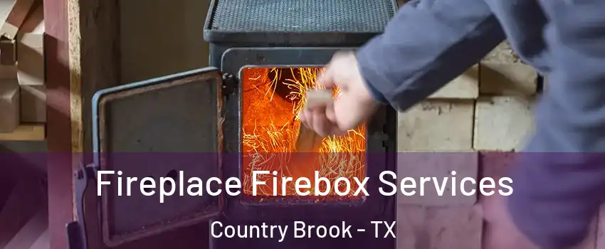 Fireplace Firebox Services Country Brook - TX