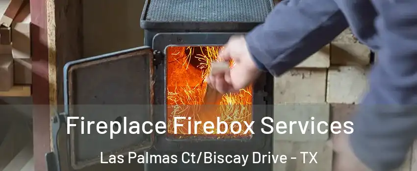 Fireplace Firebox Services Las Palmas Ct/Biscay Drive - TX