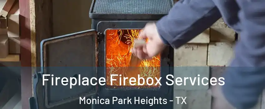 Fireplace Firebox Services Monica Park Heights - TX