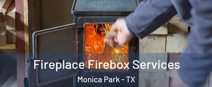 Fireplace Firebox Services Monica Park - TX