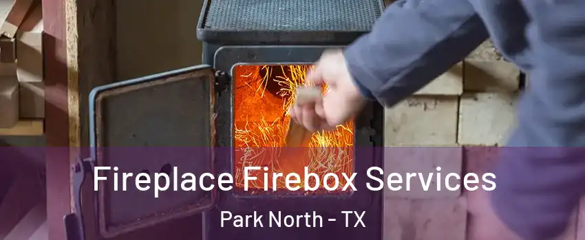 Fireplace Firebox Services Park North - TX