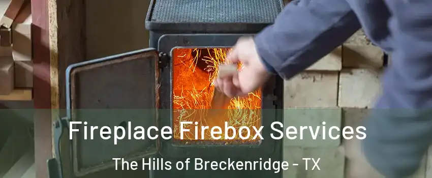 Fireplace Firebox Services The Hills of Breckenridge - TX