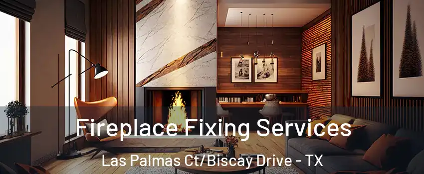 Fireplace Fixing Services Las Palmas Ct/Biscay Drive - TX