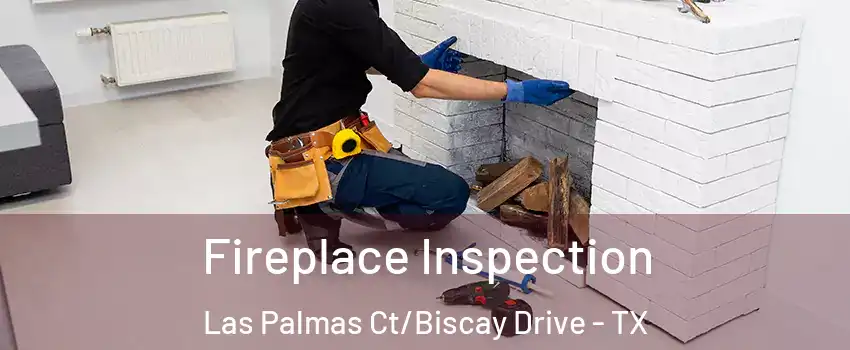 Fireplace Inspection Las Palmas Ct/Biscay Drive - TX