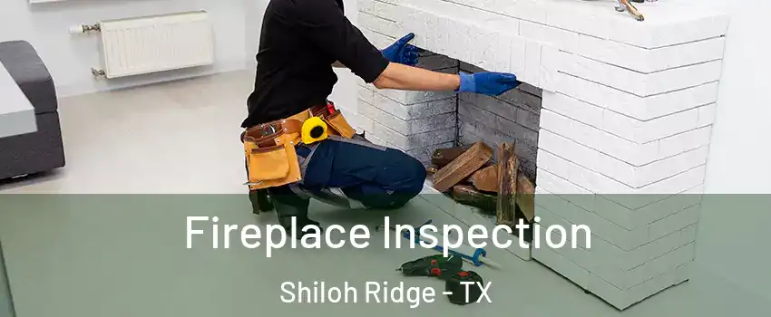 Fireplace Inspection Shiloh Ridge - TX