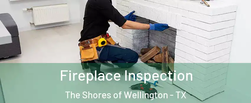 Fireplace Inspection The Shores of Wellington - TX