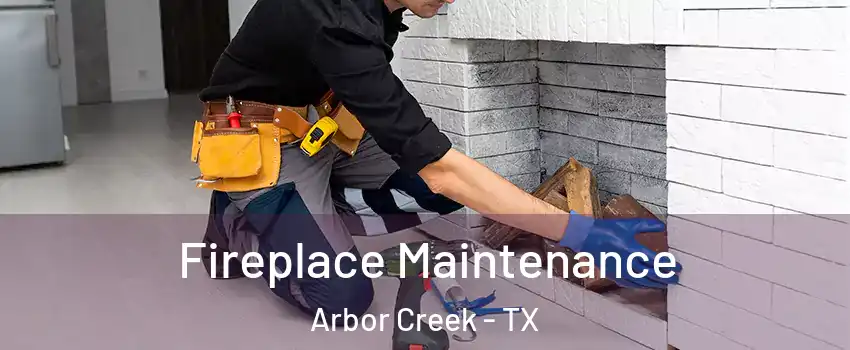 Fireplace Maintenance Arbor Creek - TX