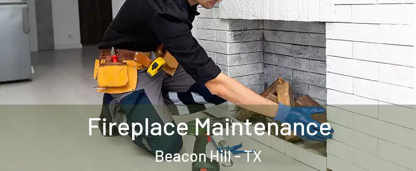 Fireplace Maintenance Beacon Hill - TX