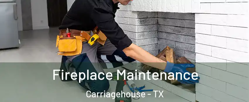 Fireplace Maintenance Carriagehouse - TX