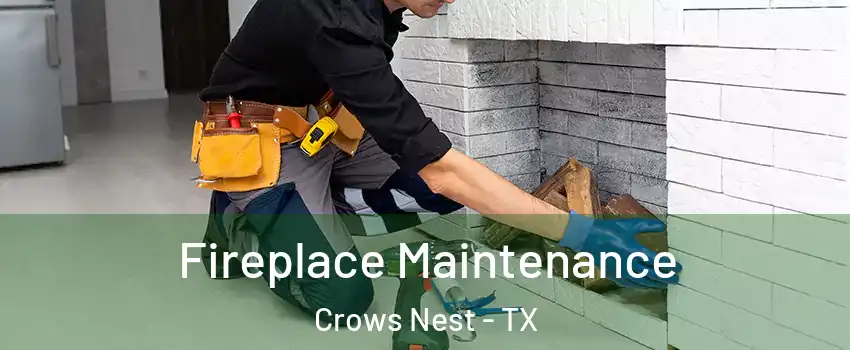 Fireplace Maintenance Crows Nest - TX
