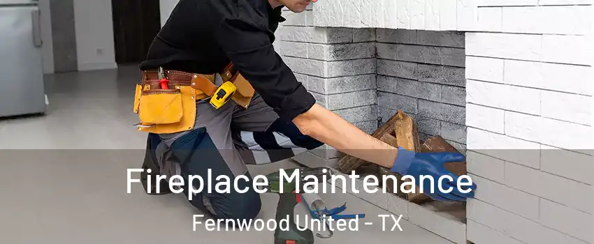 Fireplace Maintenance Fernwood United - TX
