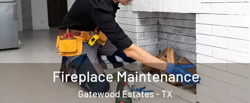 Fireplace Maintenance Gatewood Estates - TX