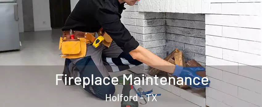 Fireplace Maintenance Holford - TX