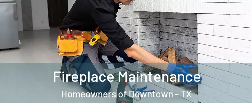 Fireplace Maintenance Homeowners of Downtown - TX