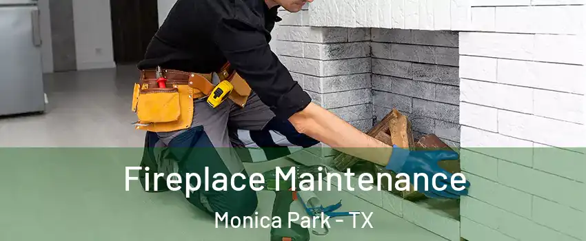 Fireplace Maintenance Monica Park - TX