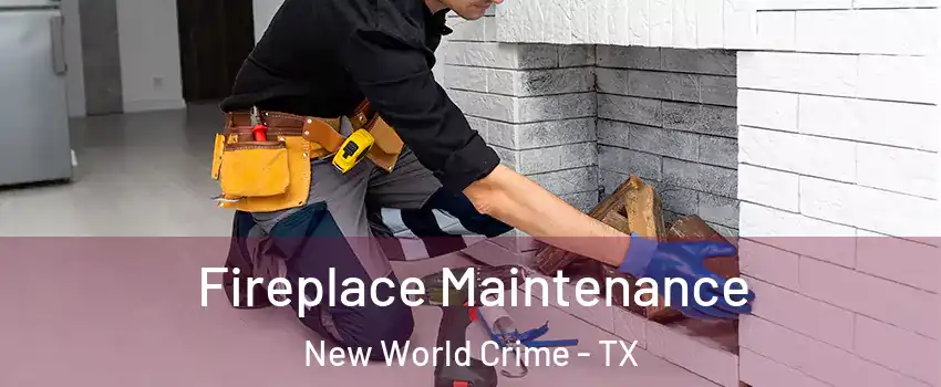Fireplace Maintenance New World Crime - TX