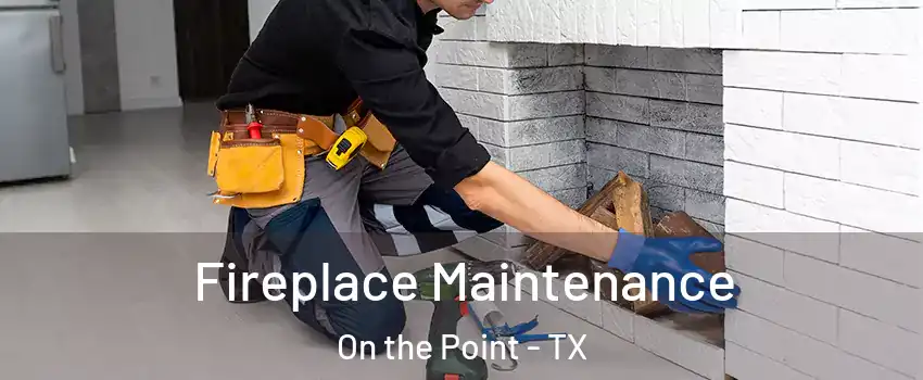 Fireplace Maintenance On the Point - TX